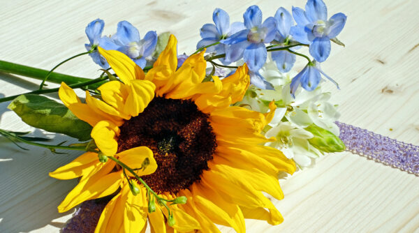 Kwiatowa wizytówka dla kwiaciarni kolorowa, wiosenna
